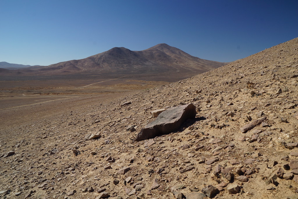 Detecting Life in the Ultra-dry Atacama Desert