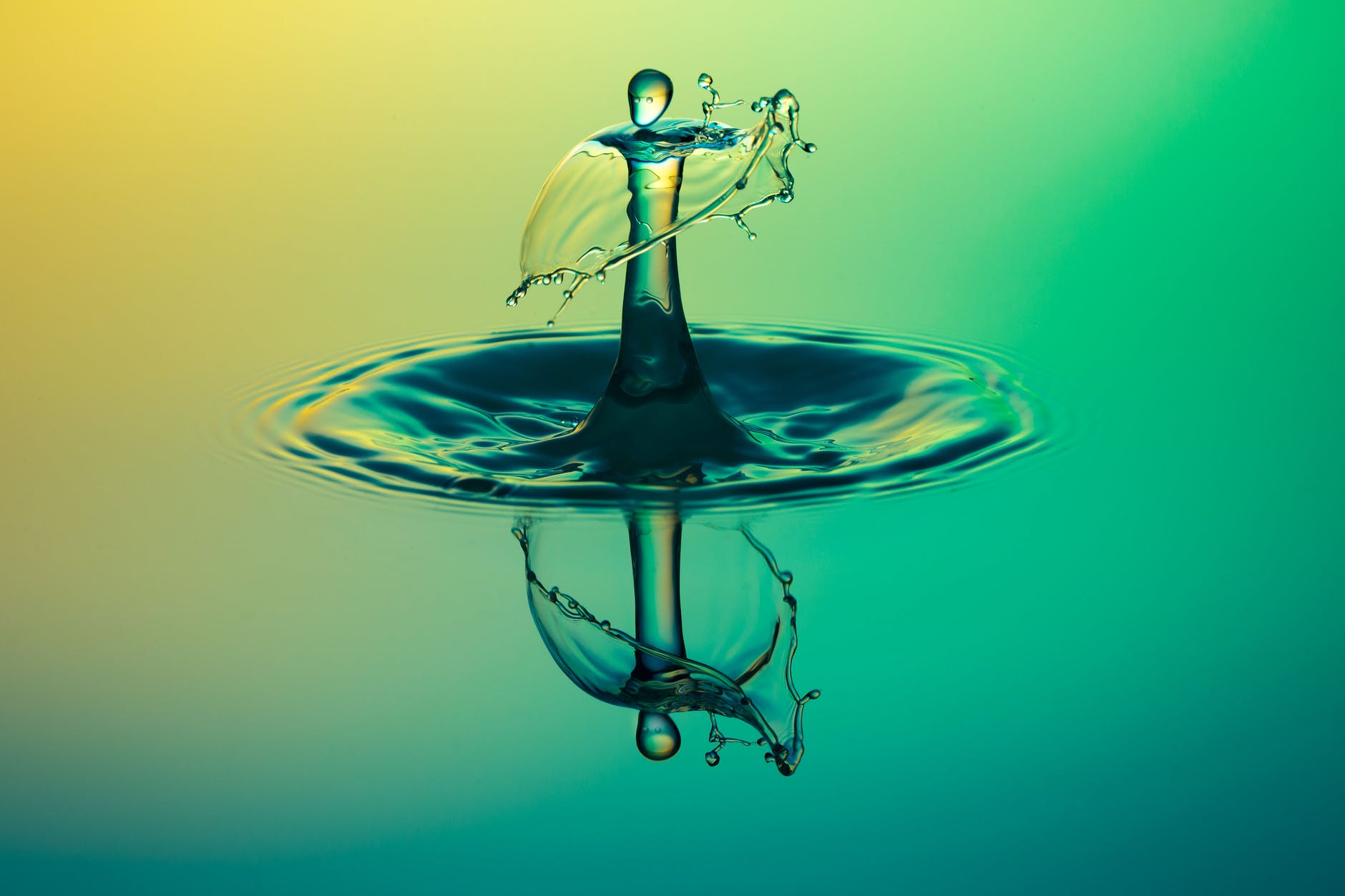 close up water drop photography