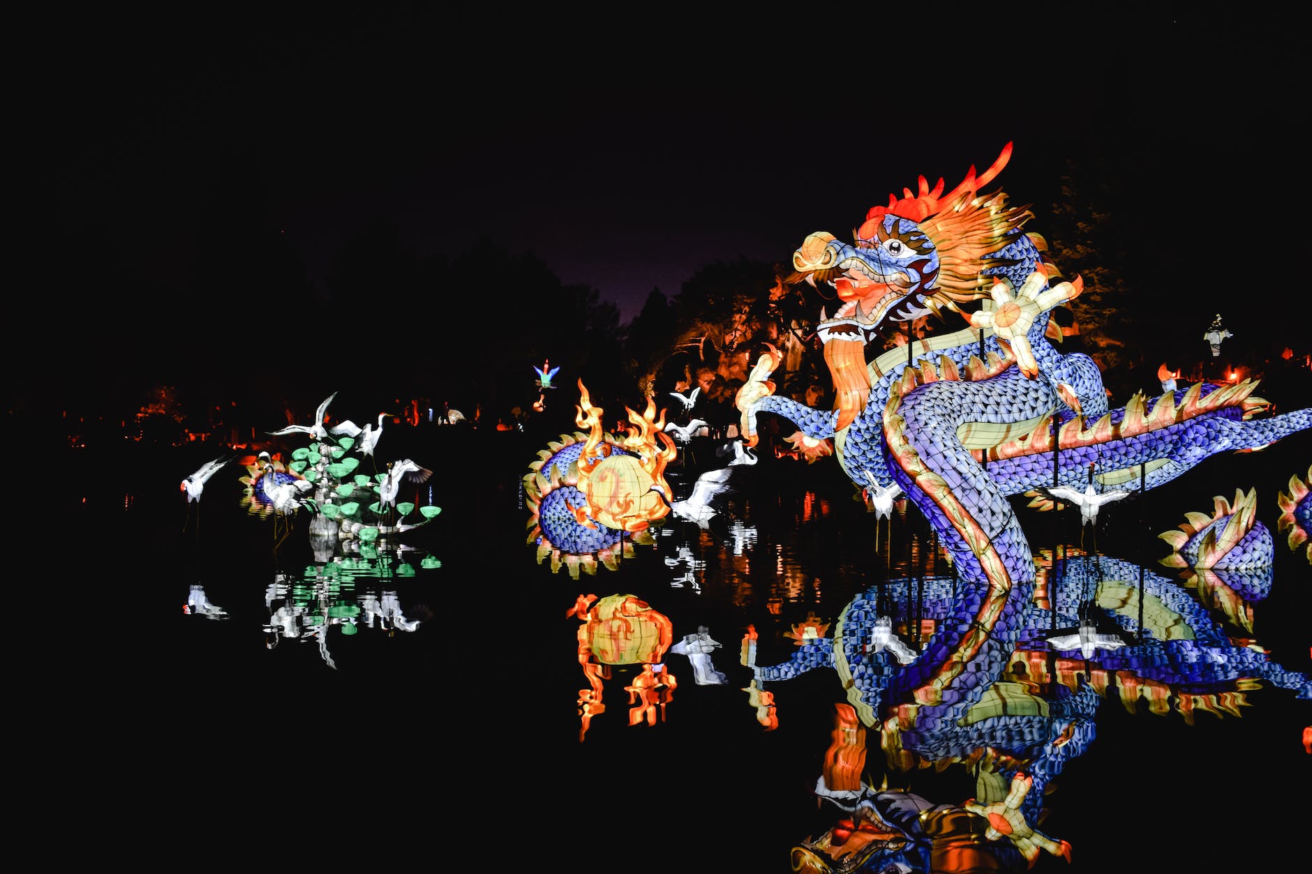 dragon festival during nighttime