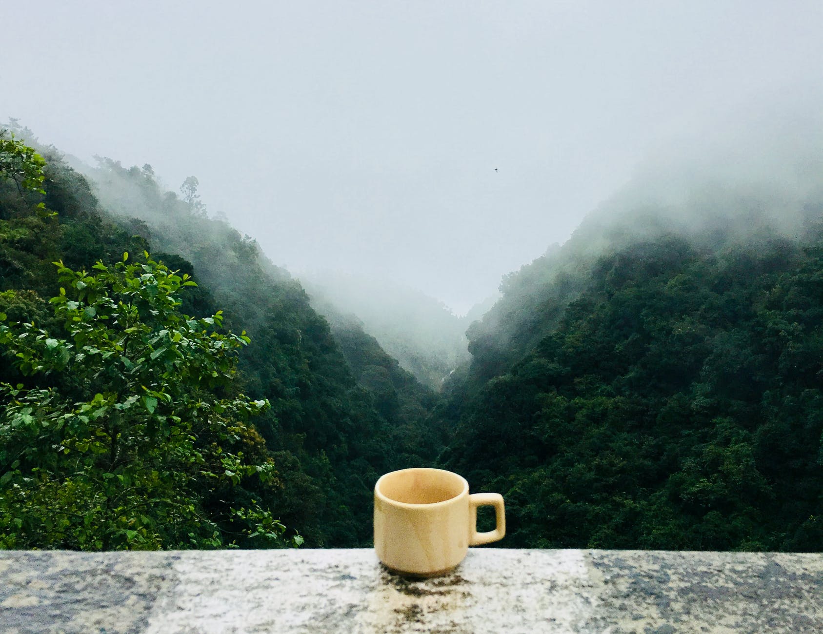 white ceramic cup